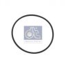 DAF 1332011 Seal Ring
